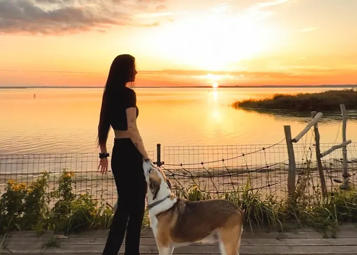 Campo de lujo Romantic Dome - Private Hot Tube, Sauna & View *